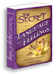 The Secret Language of Feelings Book